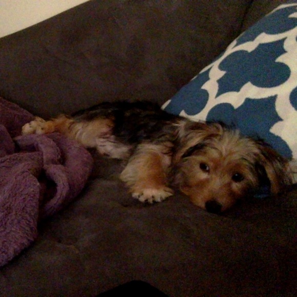 Welcome to my closet! :D - Picture 6 of 8